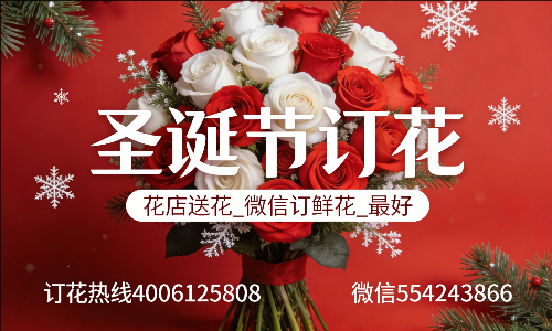 周口淮阳区花店送花_微信订鲜花_圣诞节订花_最好? 周口淮阳区花店